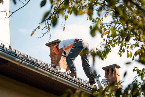 Best Roofing Contractor Near Me  in Lincoln, IL