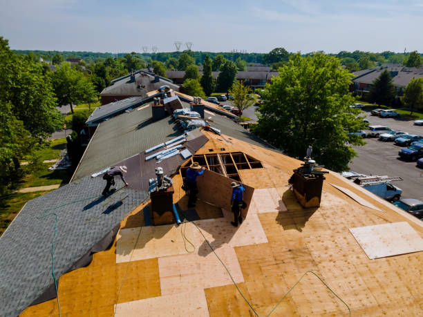 Best Commercial Roofing Services  in Lincoln, IL