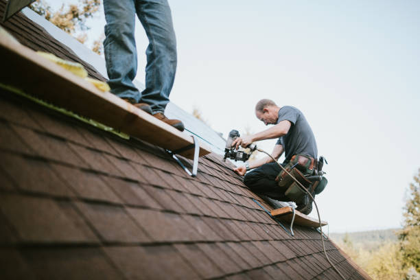 Best Metal Roofing Contractor  in Lincoln, IL