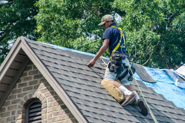 Best Roof Restoration Services  in Lincoln, IL